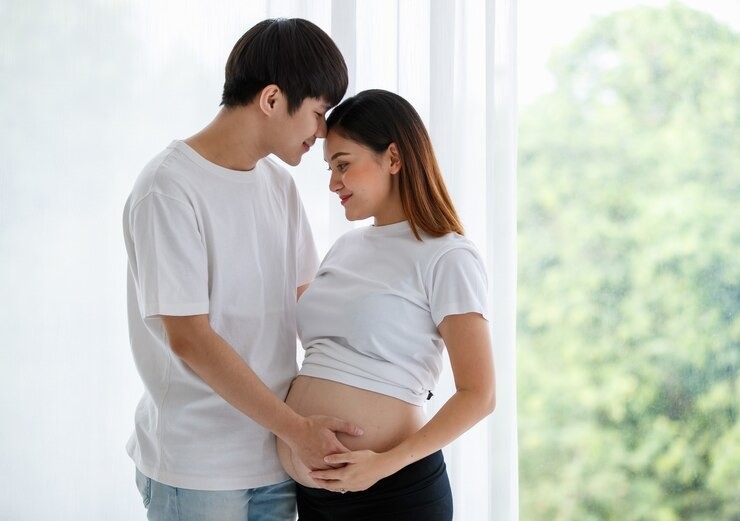 pertengkaran saat hamil, dampak stres saat hamil, konflik rumah tangga kehamilan, janin stres, kesehatan ibu hamil, risiko bertengkar saat hamil, efek emosi ibu hamil terhadap janin, kelahiran prematur akibat stres.